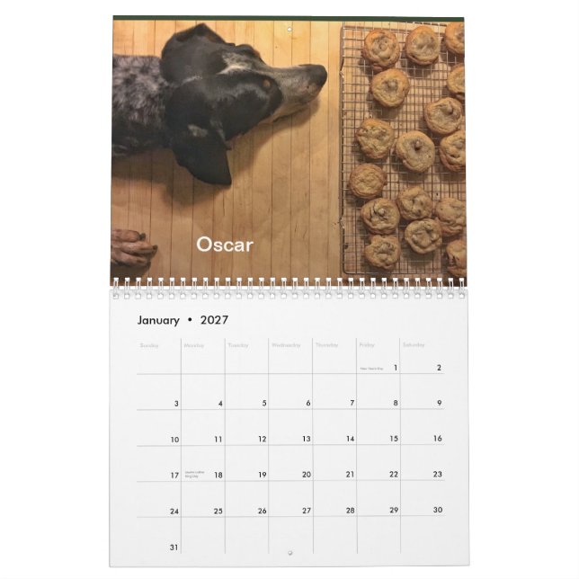 Calendario Distrito 2019/2020 del perro (Jan 2027)