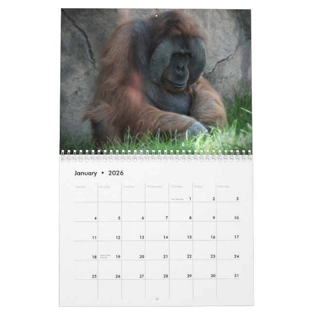 Calendario Diversión del animal del parque zoológico (Jan 2026)