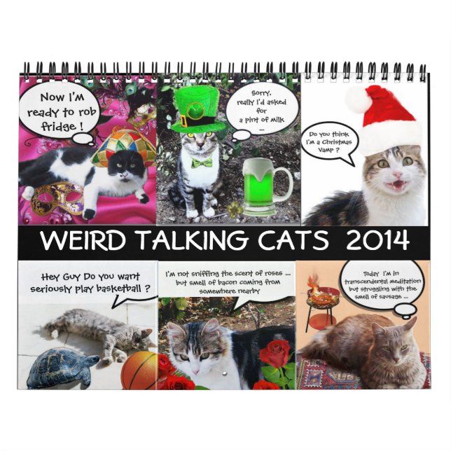 CALENDARIO DIVERSIONES DE CÓMICO DE GATOS DE HABLAR EXTRAÑOS  (Tapa)
