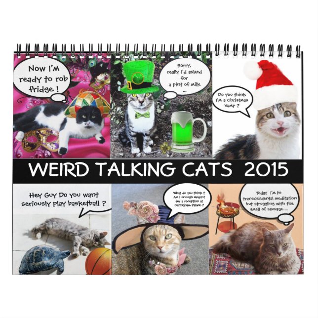 CALENDARIO DIVERSIONES DE CÓMICO DE GATOS DE HABLAR EXTRAÑOS  (Tapa)