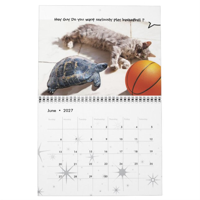 CALENDARIO DIVERSIONES DE CÓMICO DE GATOS DE HABLAR EXTRAÑOS  (Jun 2027)