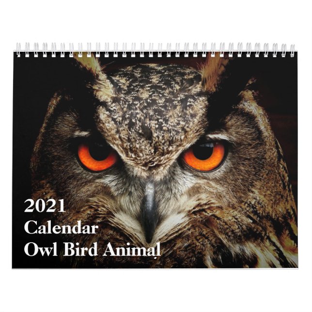 Calendario divertido: Animal búho (Tapa)