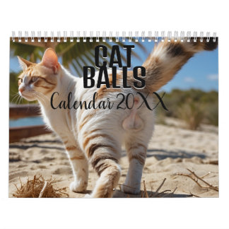 Calendario divertido de Cat Balls 2026