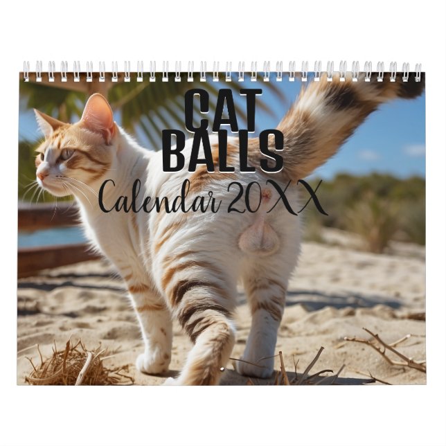 Calendario divertido de Cat Balls 2026 (Tapa)