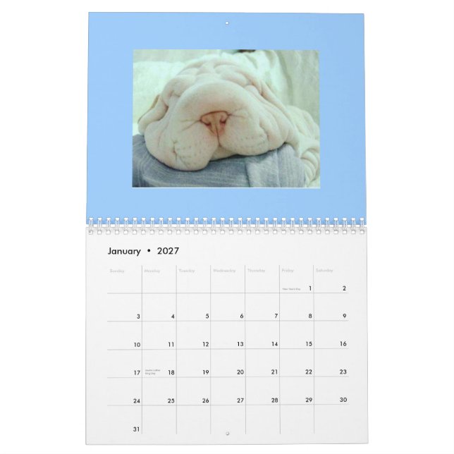 Calendario divertido de las caras (Jan 2027)