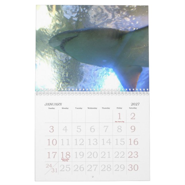 Calendario divertido de los animales 2012 (Jan 2027)