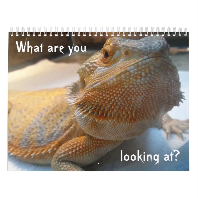 Calendario DIVERTIDO impresionante para 2019 (Tapa)