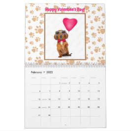 Calendario Divertido Personalizado de fotos de Dachshund Cuto