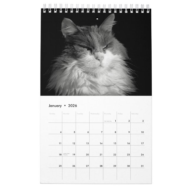 Calendario DJ's Cats One Page (Jan 2026)