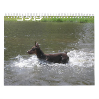Calendario Doberman 2013 Calendario-revisado febrero