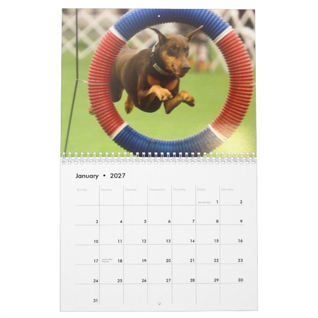 Calendario Doberman 2013 Calendario-revisado nov (Jan 2027)