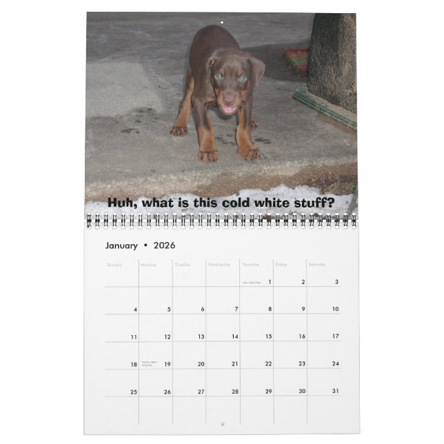 Calendario Dobermans 2008 de Bakari (Jan 2026)