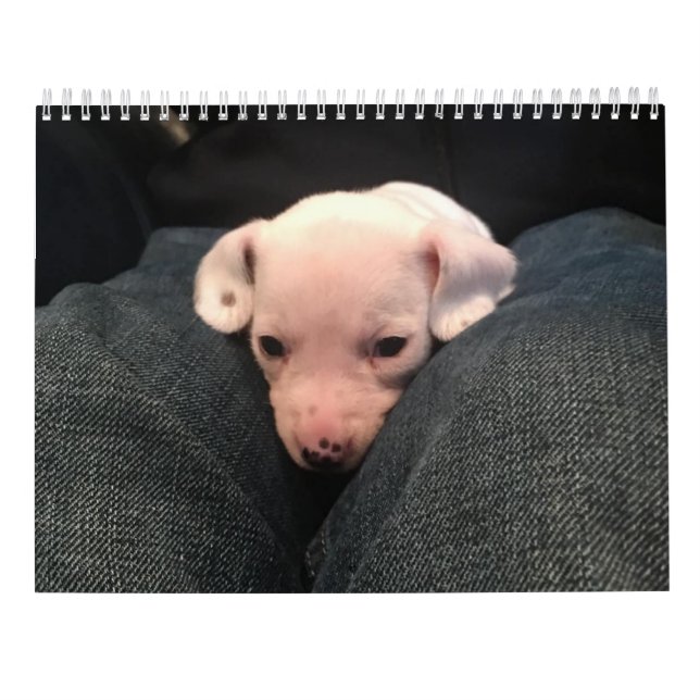 Calendario doble de Dachshund (Reverso)