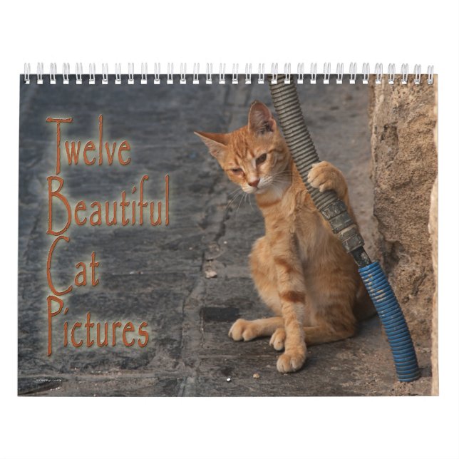 Calendario Doce hermosas fotos de gatos (Tapa)