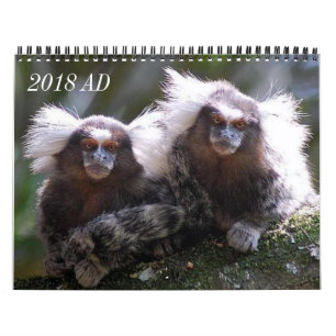Calendario Doce monos