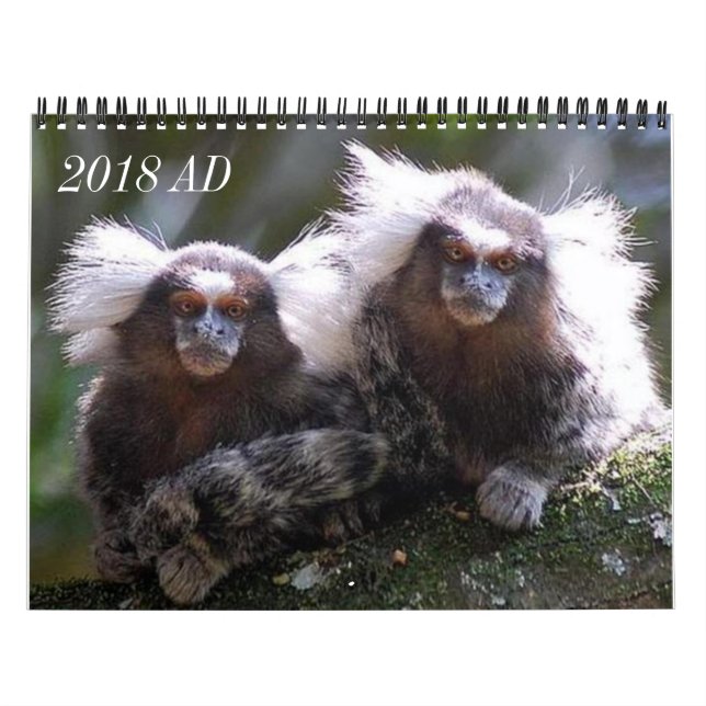 Calendario Doce monos (Tapa)