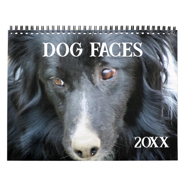 Calendario Dog Faces And Expressions (Tapa)