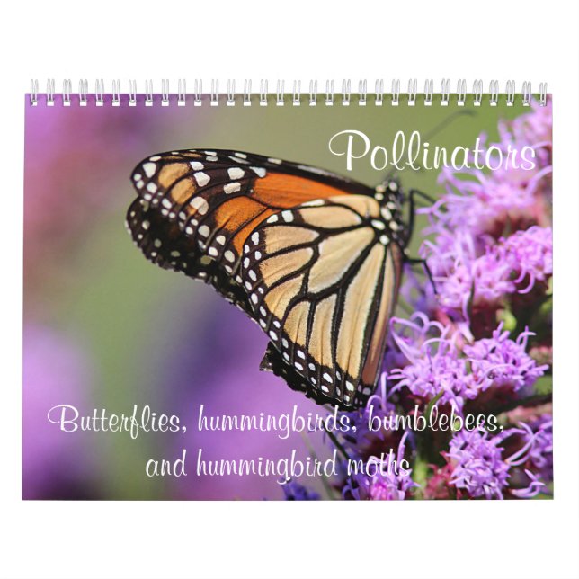 Calendario Donadoras de polen (Tapa)