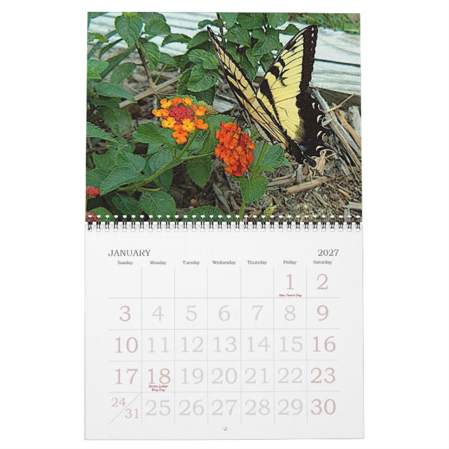 Calendario Donna's Garden 2007 (Jan 2027)
