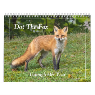 Calendario Dot The Fox