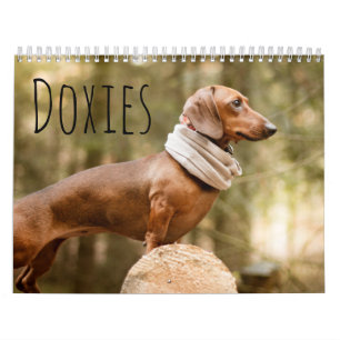 Calendario Doxies