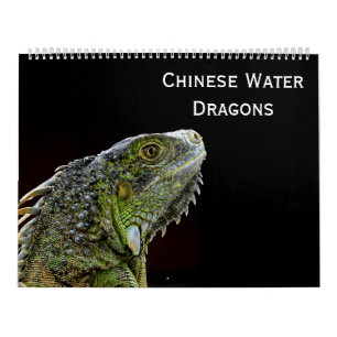 Calendario Dragones de agua chinos