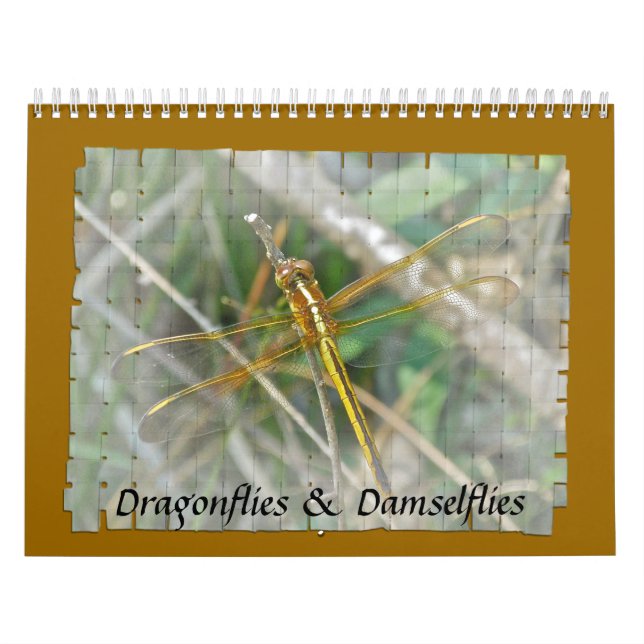 Calendario - Dragonflies & Damselflies (Tapa)