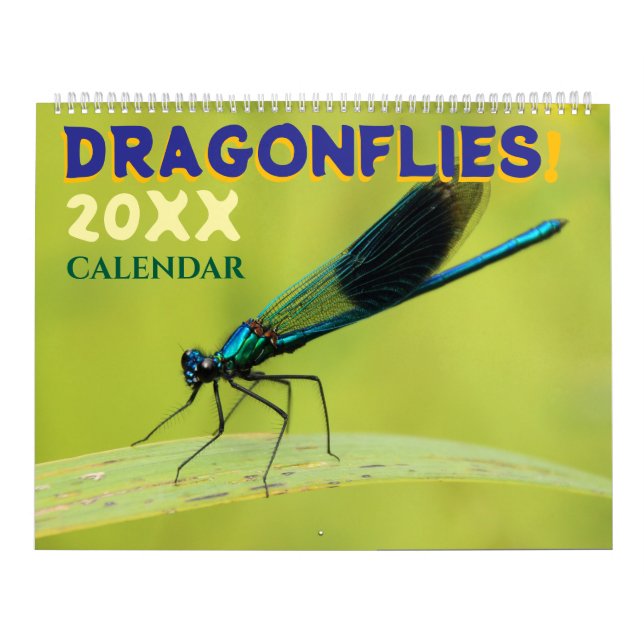 Calendario Dragonflies in Nature Wall Calendar Cute (Tapa)