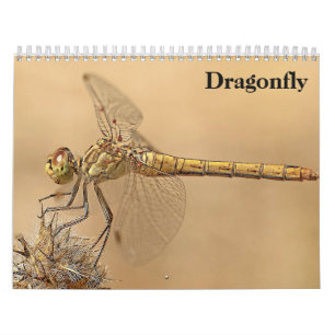 Calendario Dragonfly 2025