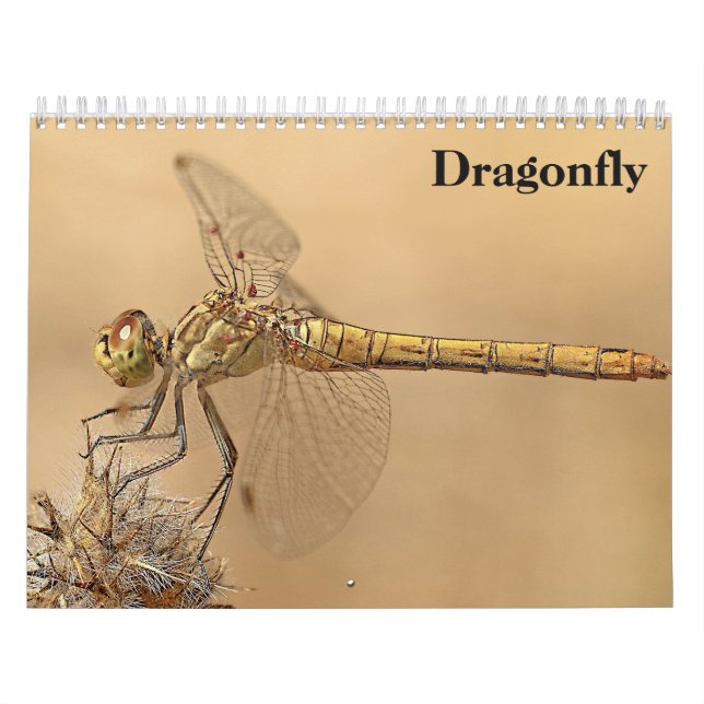 Calendario Dragonfly 2025 (Tapa)