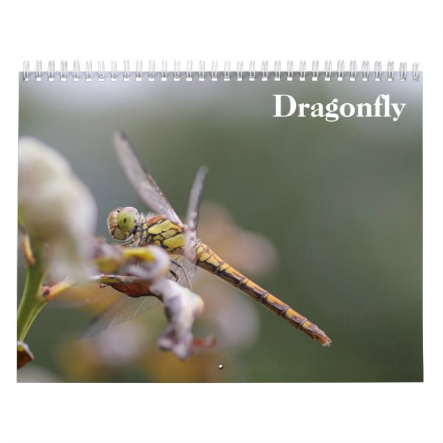 Calendario Dragonfly 2025 (Tapa)