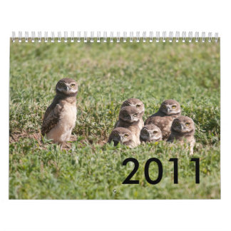 CALENDARIO DSC_2816, 2011