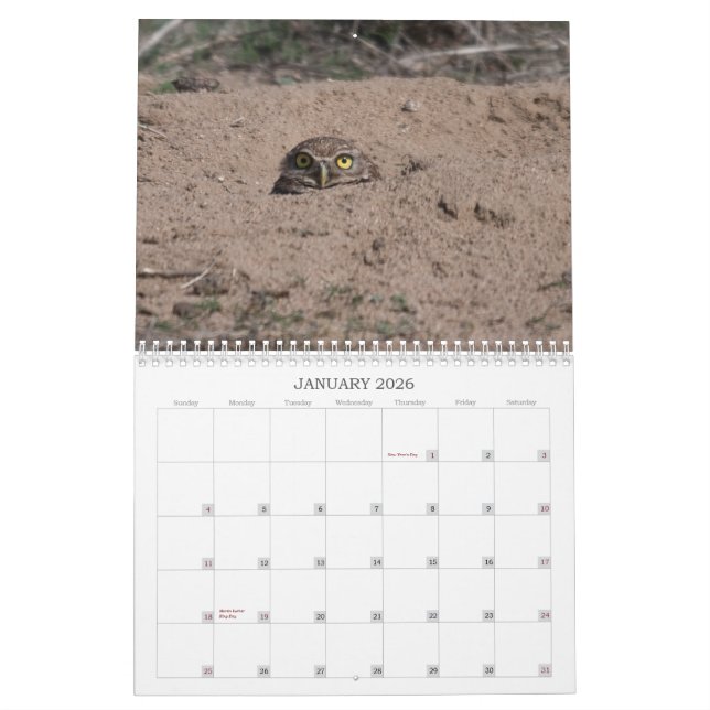 CALENDARIO DSC_2816, 2011 (Jan 2026)