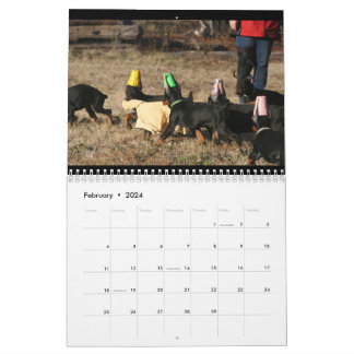 Calendario DT 2024