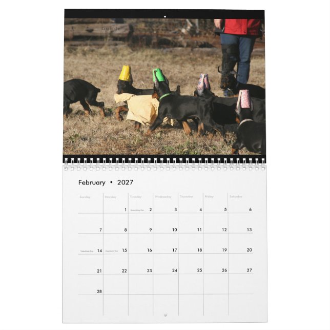 Calendario DT 2024 (Feb 2027)
