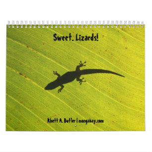 Calendario dulce de los lagartos