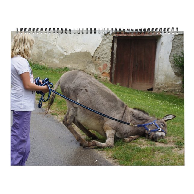 Calendario Dulces burros todo el año 2025 (Tapa)