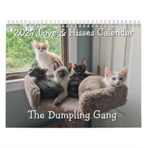 Calendario Dumpling Gang: Amor y Siseos 2027