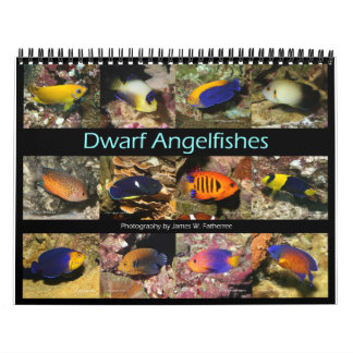 Calendario Dwarf Angelfishes Wall Calendar de J.W. Padre.