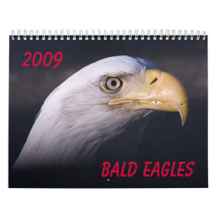 Calendario Eagles calvo