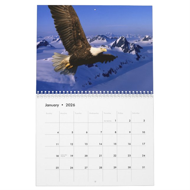 Calendario Eagles calvo (Jan 2026)