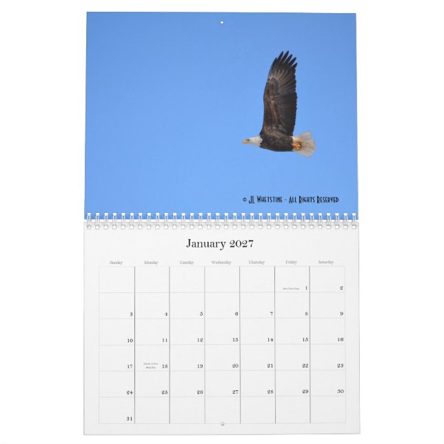 Calendario Eagles calvo 2015 (Jan 2027)