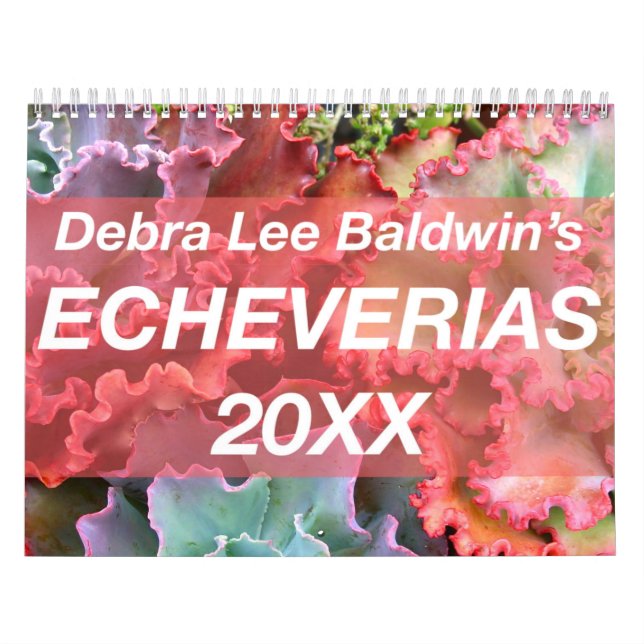 Calendario Echeverias 20XX de Debra Lee Baldwin (Tapa)