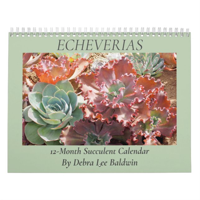 Calendario Echeverias: Sucultores de Debra Lee Baldwin (Tapa)