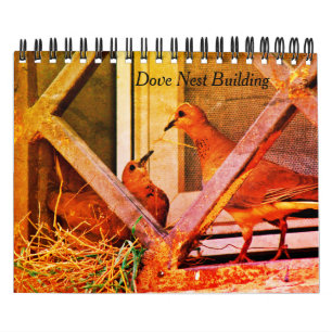 Calendario Edificio Dove Nest