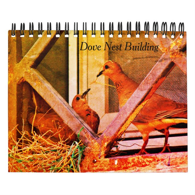 Calendario Edificio Dove Nest (Tapa)