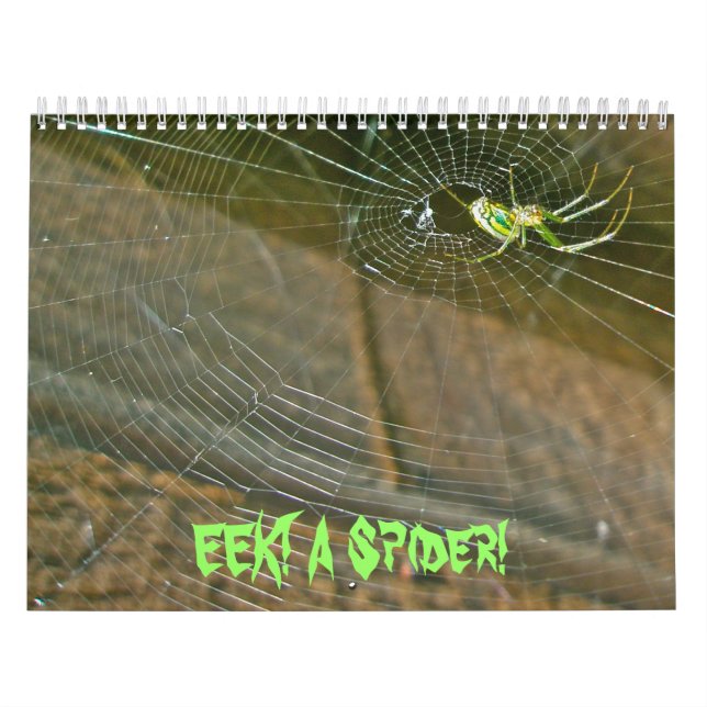 Calendario - EEK! ¡Una Araña! (Tapa)