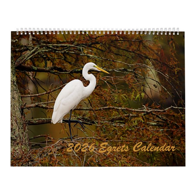 Calendario Egrets 2025 (Tapa)