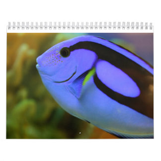 Calendario El acuario