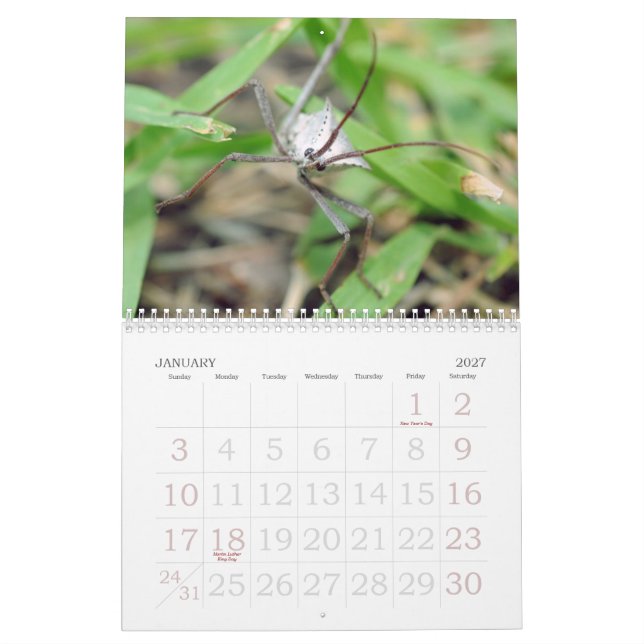 Calendario El amor de insectos (Jan 2027)